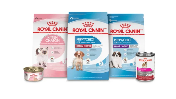 Royal canin